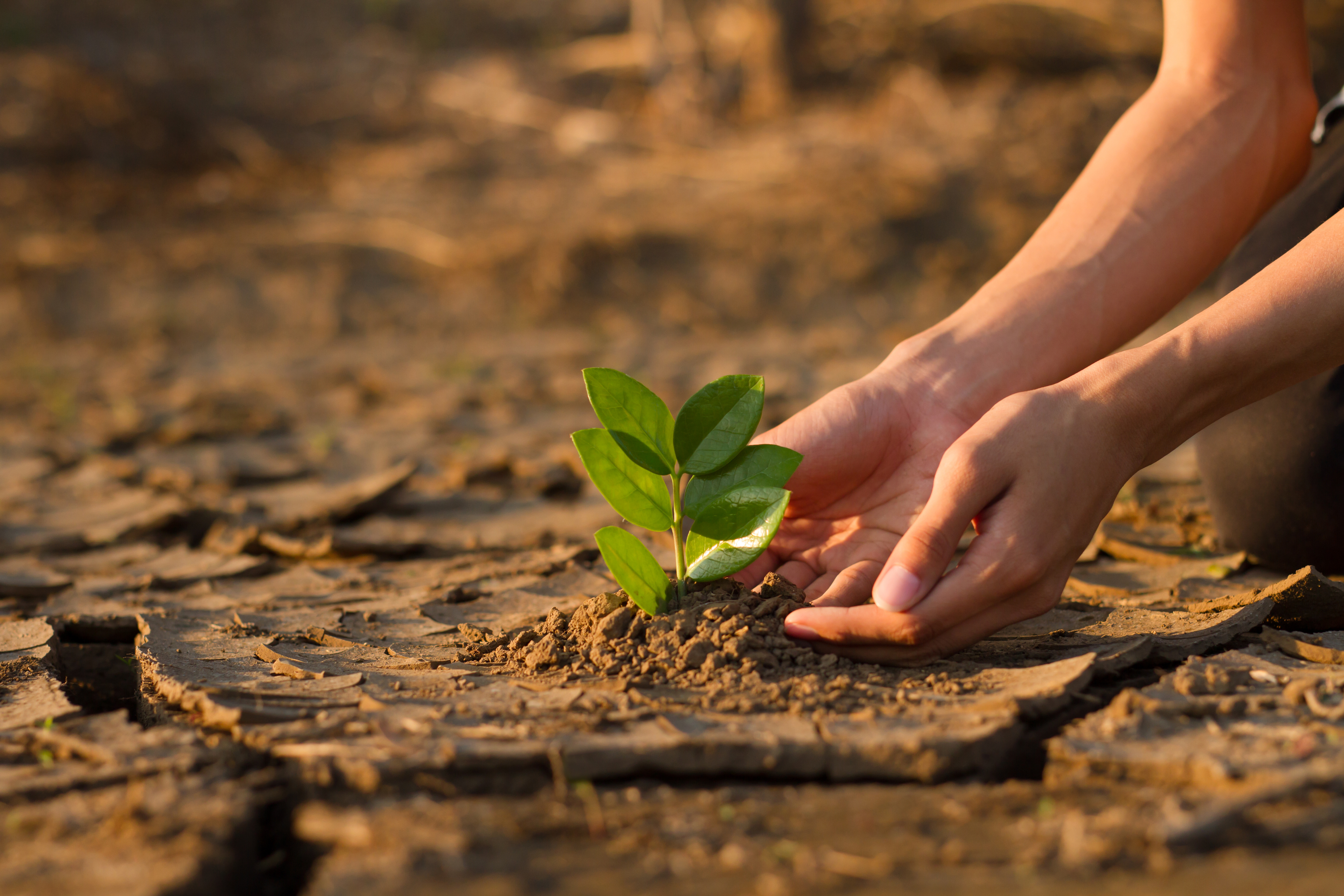 climate_change_risk_perception_early_warning_and_responses_policy_management