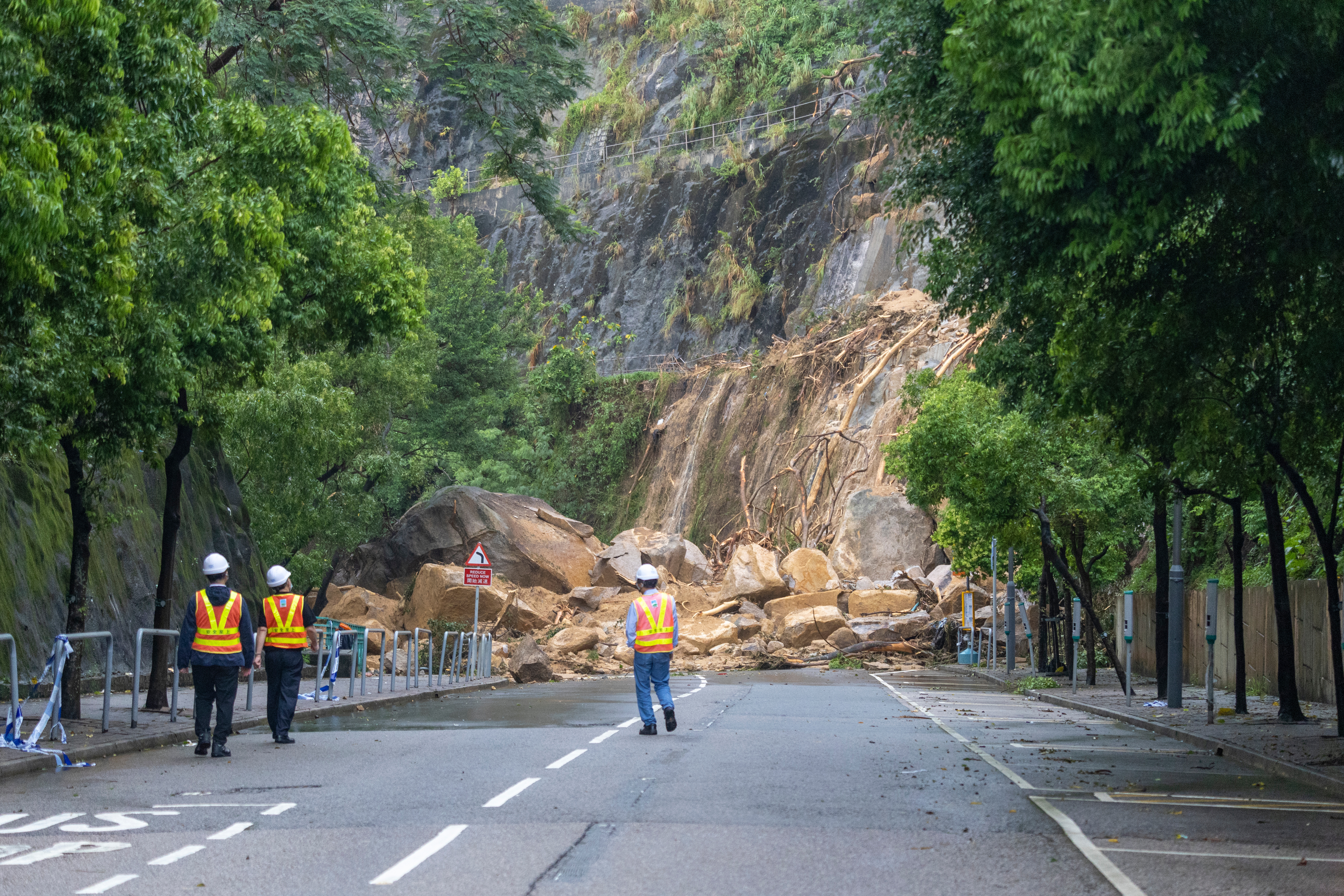 extreme_rainstorm_disasters_and_green_prevention